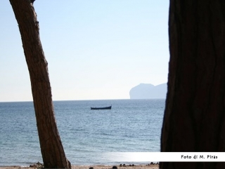  Bahías incontaminadas